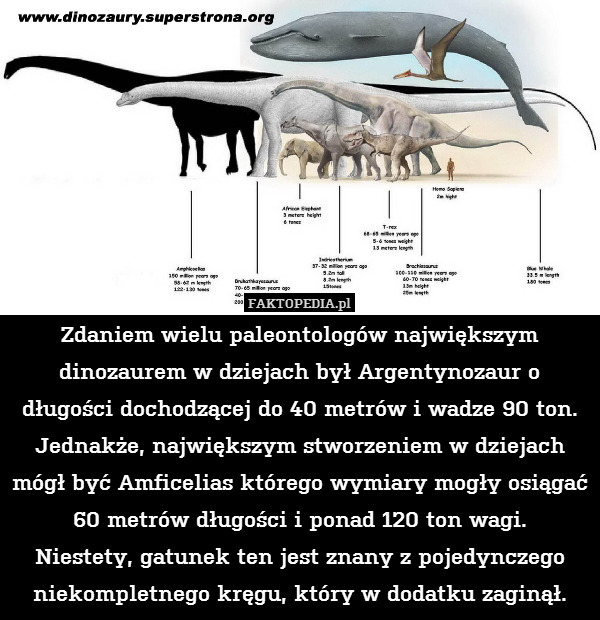 Zdaniem wielu paleontologów największym