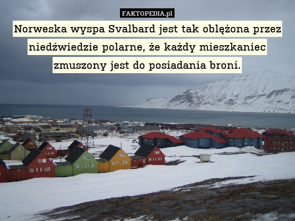 Norweska wyspa Svalbard jest tak