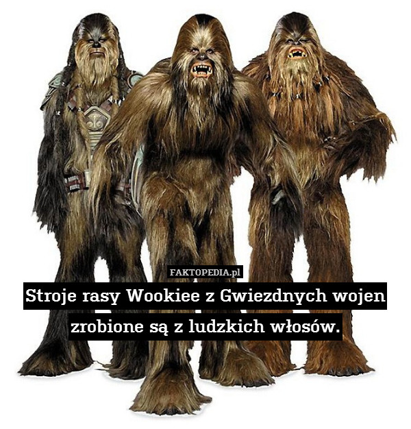 Stroje rasy Wookiee z Gwiezdnych