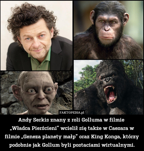 Andy Serkis znany z roli Golluma