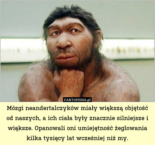 Mózgi neandertalczyków miały większą