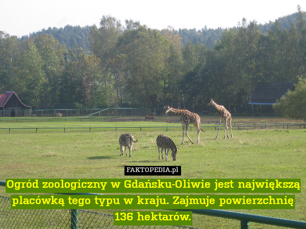 Ogród zoologiczny w Gdańsku-Oliwie