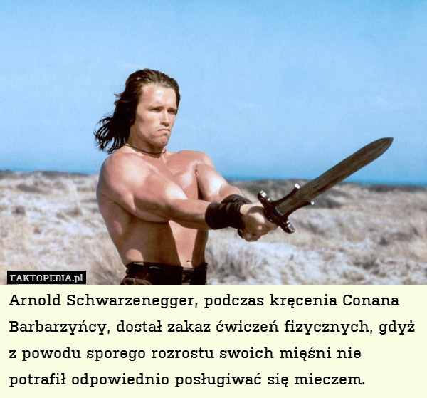 Arnold Schwarzenegger, podczas