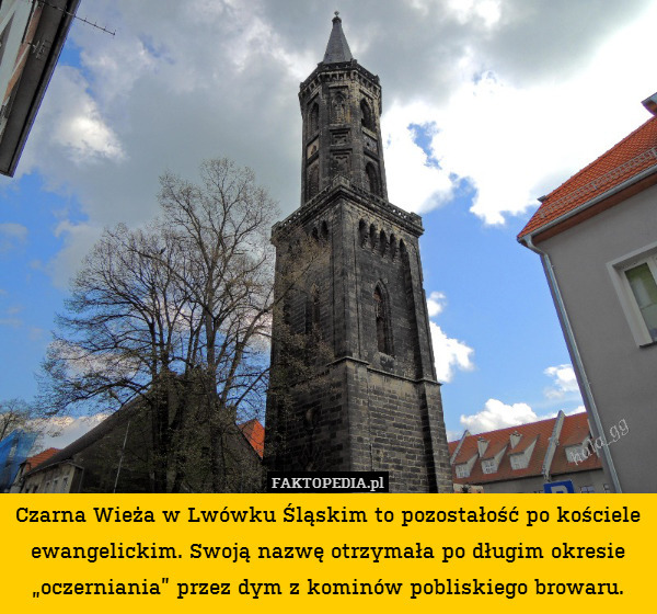 Czarna Wieża w Lwówku Śląskim