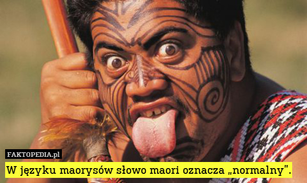W języku maorysów słowo maori