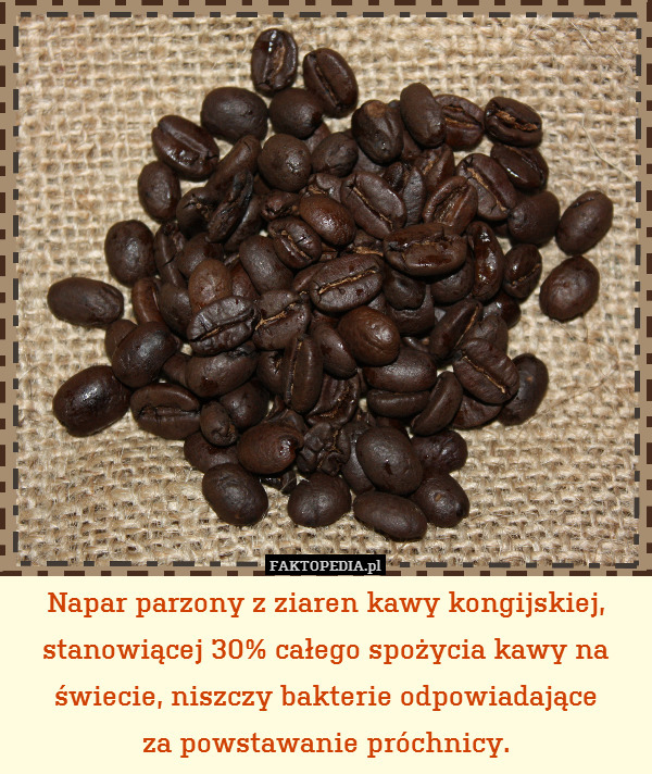 Napar parzony z ziaren kawy kongijskiej