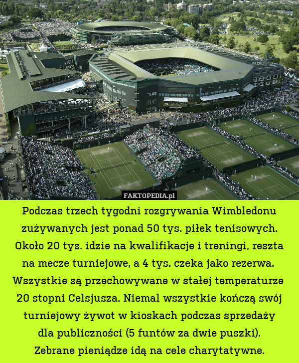 Wimbledon zużywa ponad 50 tys.