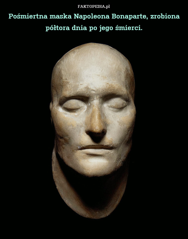 Pośmiertna maska Napoleona Bonaparte,