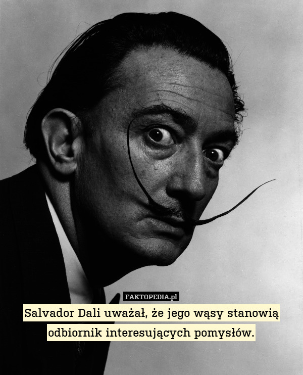 Salvador Dali uważał, że jego