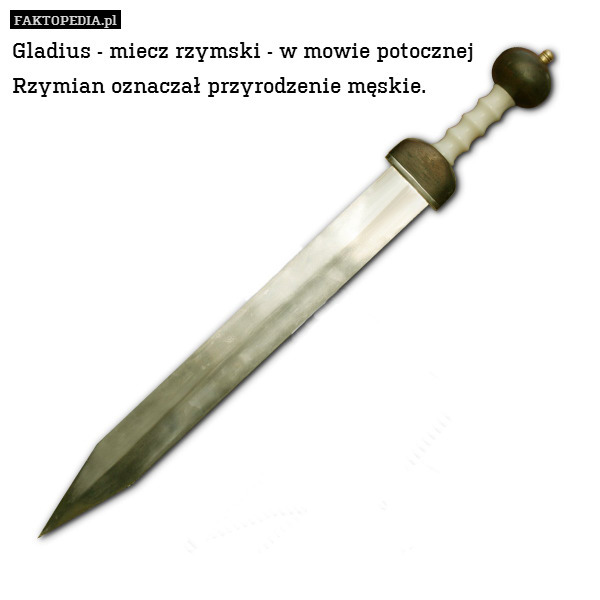 Gladius - miecz rzymski - w mowie