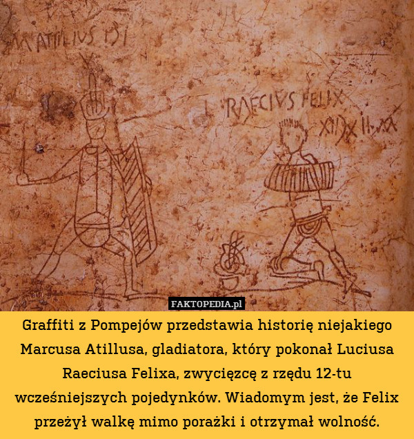 Graffiti z Pompejów przedstawia historię niejakiego Marcusa Atillusa, gladiatora,