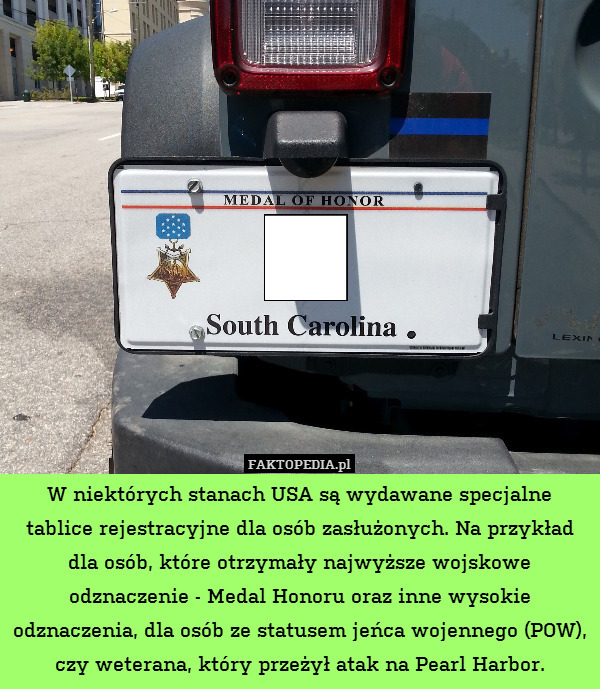 W niektórych stanach USA są wydawane specjalne tablice rejestracyjne dla