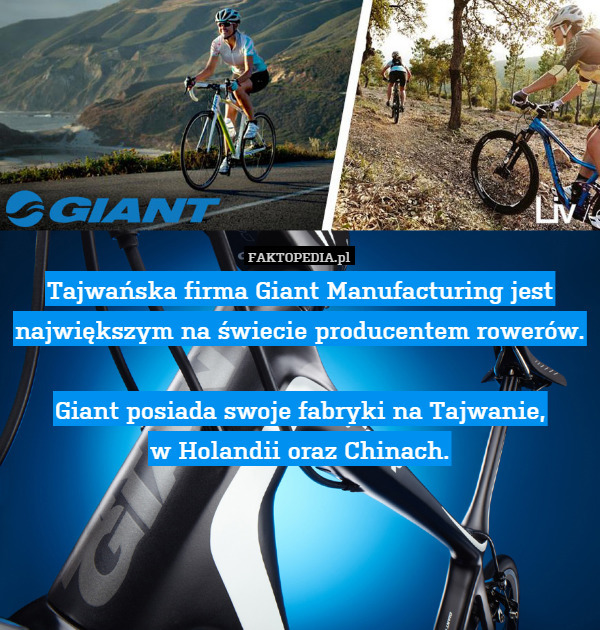 Tajwańska firma Giant Manufacturing jest największym na świecie producentem