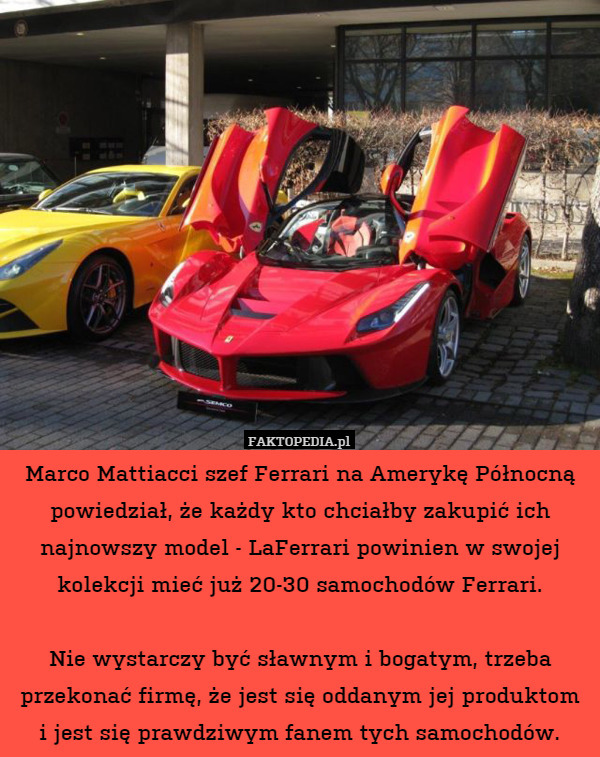 Marco Mattiacci szef Ferrari na Amerykę Północną powiedział, że każdy kto