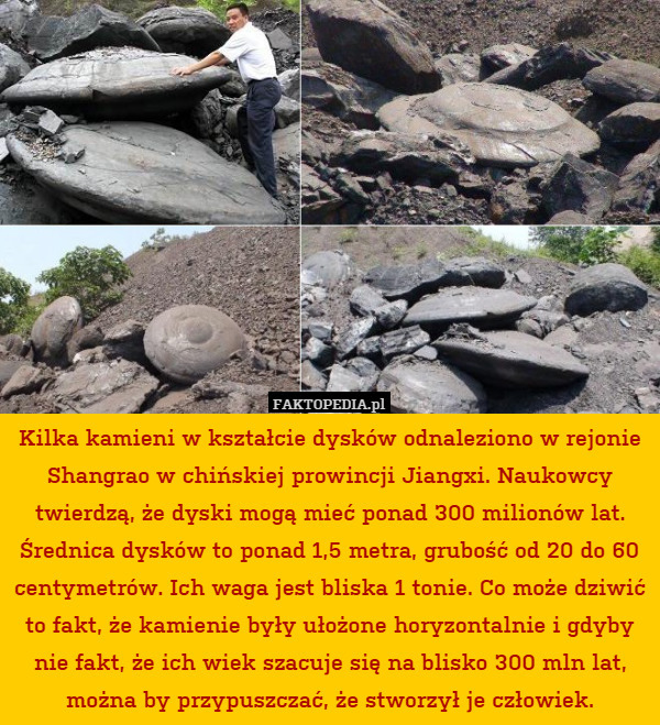 Kilka kamieni w kształcie dysków odnaleziono w rejonie