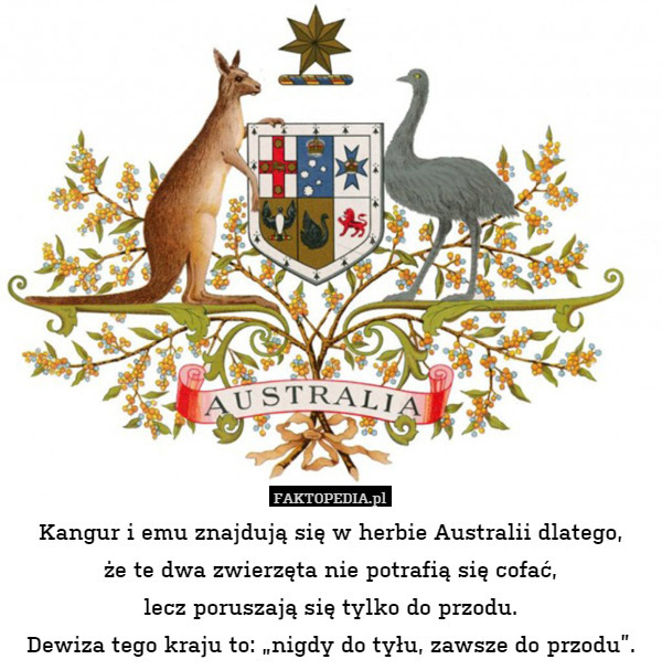 Kangur i emu znajdują się w herbie Australii dlatego,że te dwa zwierzęta