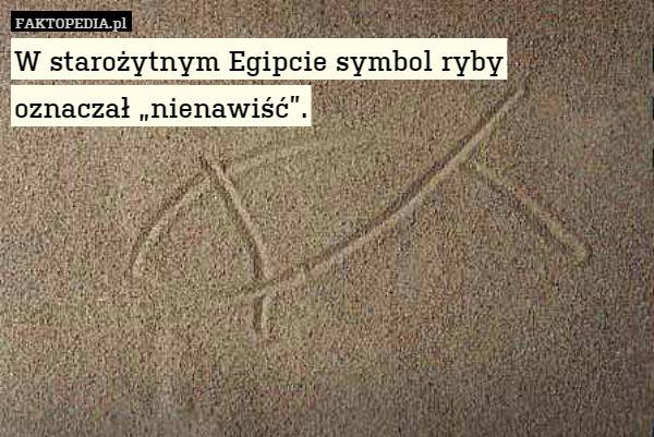 W starożytnym Egipcie symbol ryby oznaczał 'nienawiść'.