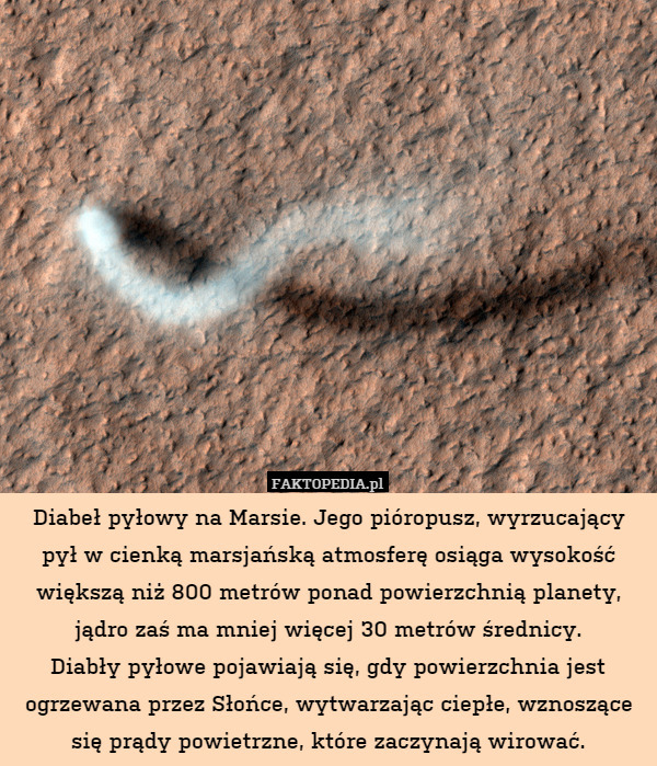Diabeł pyłowy na Marsie. Jego pióropusz, wyrzucający pył w cienką marsjańską