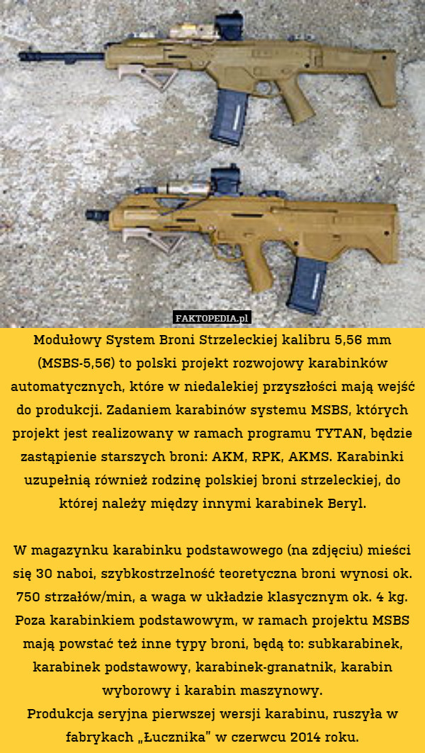 Modułowy System Broni Strzeleckiej kalibru 5,56 mm (MSBS-5,56) to polski