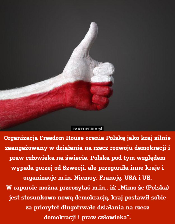 Organizacja Freedom House ocenia Polskę jako kraj silnie zaangażowany w