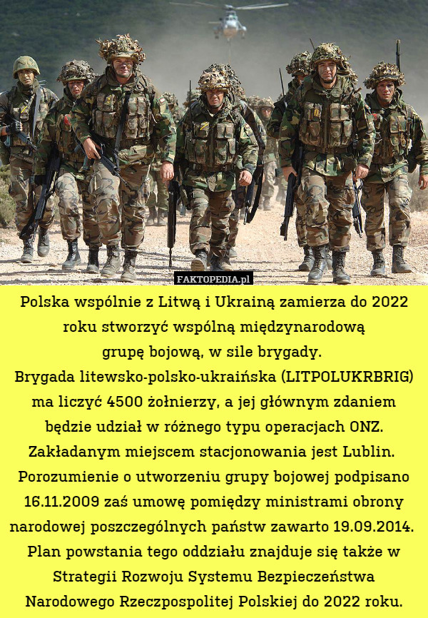 Polska wspólnie z Litwą i Ukrainą zamierza do 2022 roku stworzyć wspólną