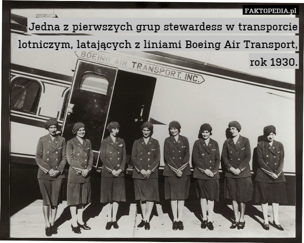 Jedna z pierwszych grup stewardess w transporcie lotniczym, latających z