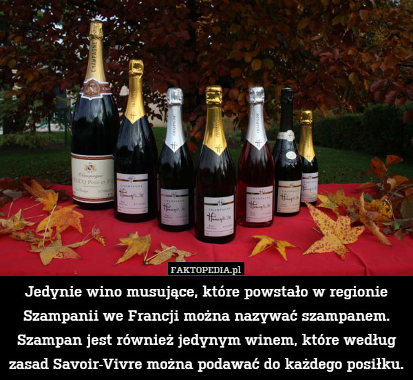 Jedynie wino musujące, które powstało w regionie Szampanii we Francji można