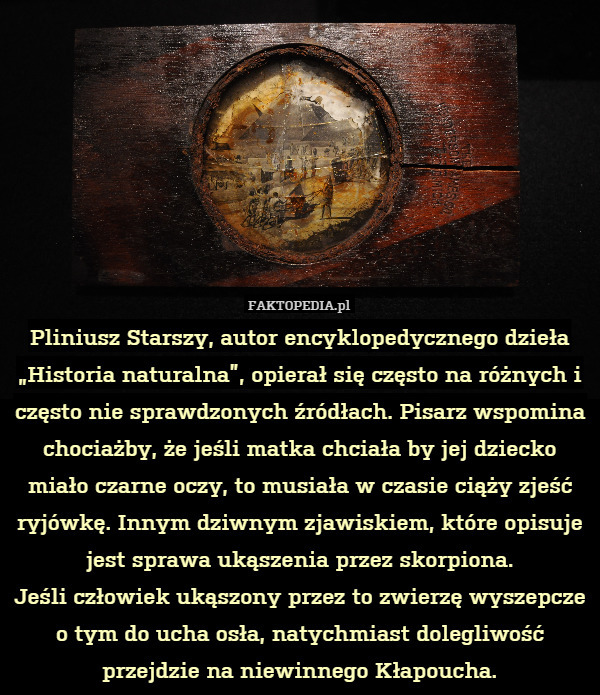 Pliniusz Starszy, autor encyklopedycznego dzieła "Historia naturalna",