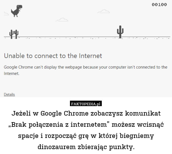 Jeżeli w Google Chrome zobaczysz komunikat "Brak połączenie z internetem"