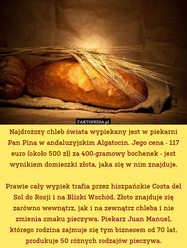 Najdroższy chleb świata wypiekany jest w piekarni Pan Pina w andaluzyjskim
