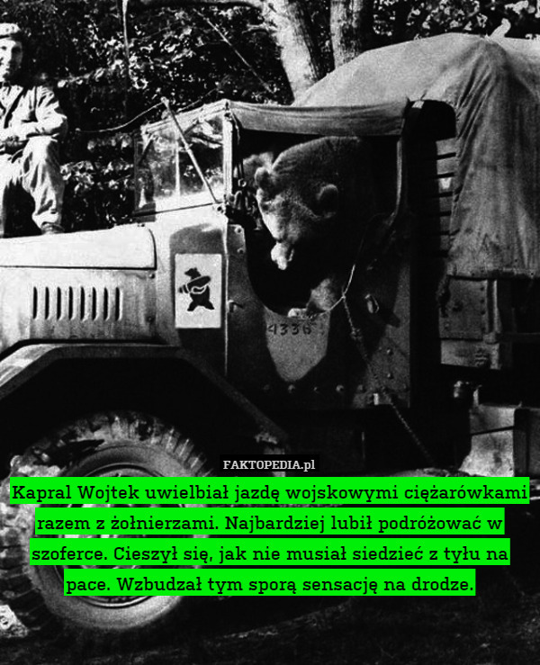 Kapral Wojtek uwielbiał jazdę wojskowymi ciężarówkami razem z żołnierzami.