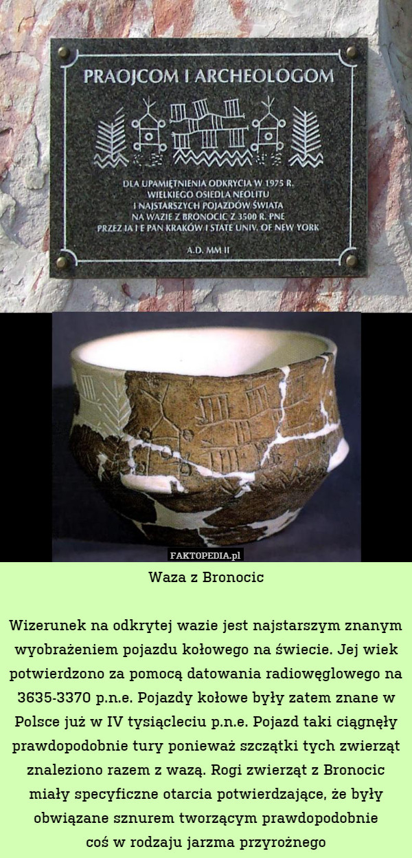 Waza z BronocicWizerunek na odkrytej wazie jest najstarszym znanym wyobrażeniem