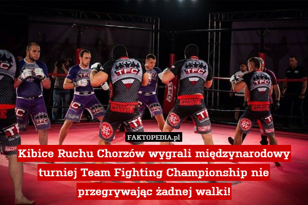 Kibice Ruchu Chorzów wygrali międzynarodowy turniej Team Fighting Championship