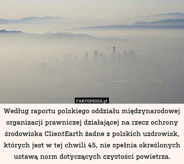 Według raportu polskiego oddziału międzynarodowej organizacji prawniczej