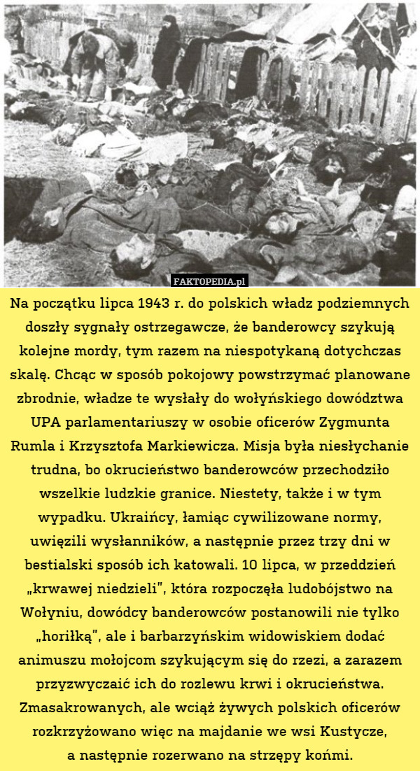 Na początku lipca 1943 r. do polskich władz podziemnych doszły sygnały ostrzegawcze,