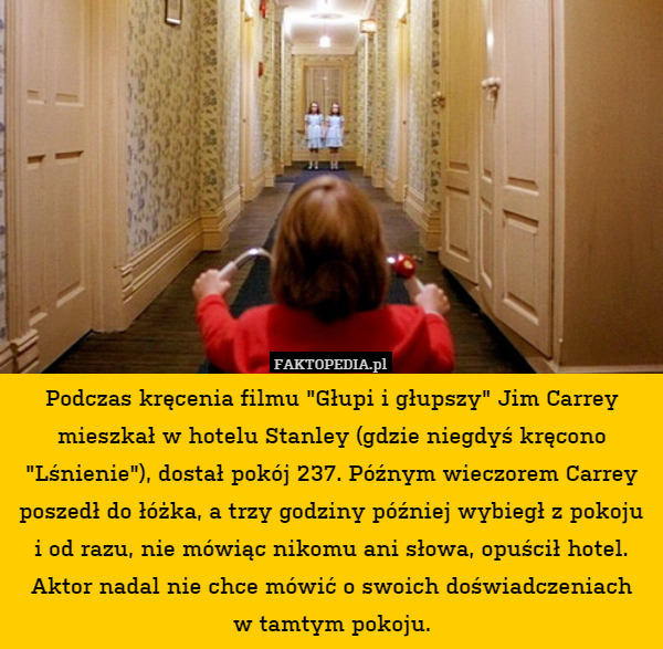 Podczas kręcenia filmu "Głupi i głupszy" Jim Carrey mieszkał w