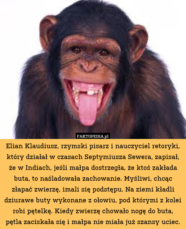 Elian Klaudiusz, rzymski pisarz i nauczyciel retoryki, który działał w czasach