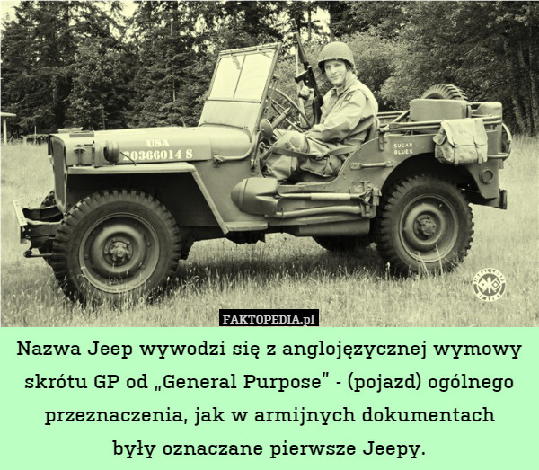 Nazwa Jeep wywodzi się z anglojęzycznej wymowy skrótu GP od "General