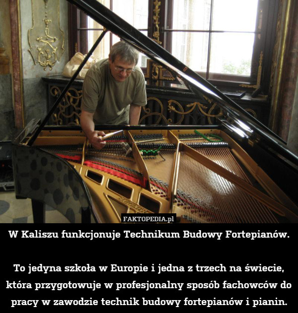 W Kaliszu istnieje Technikum Budowy Fortepianów.To jedyna szkoła w Europie