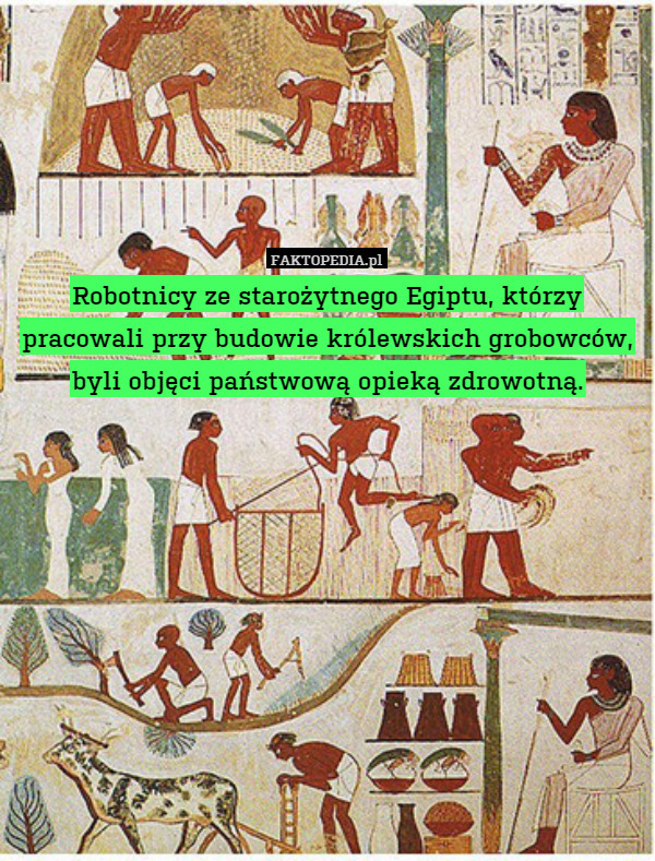 Robotnicy ze starożytnego Egiptu, którzy pracowali przy budowie królewskich