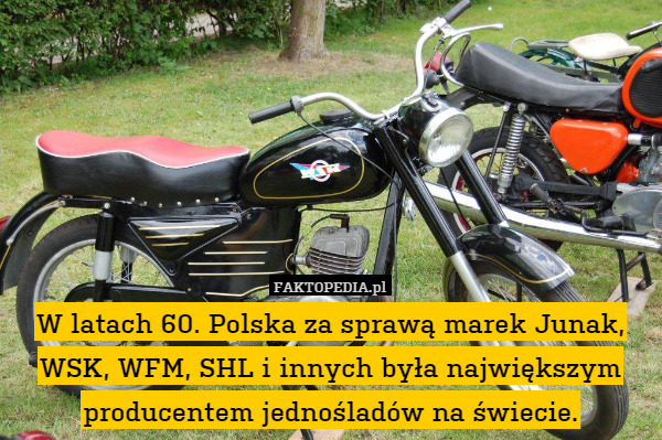W latach 60. Polska za sprawą marek Junak,WSK,WFM,SHL i innych była największym
