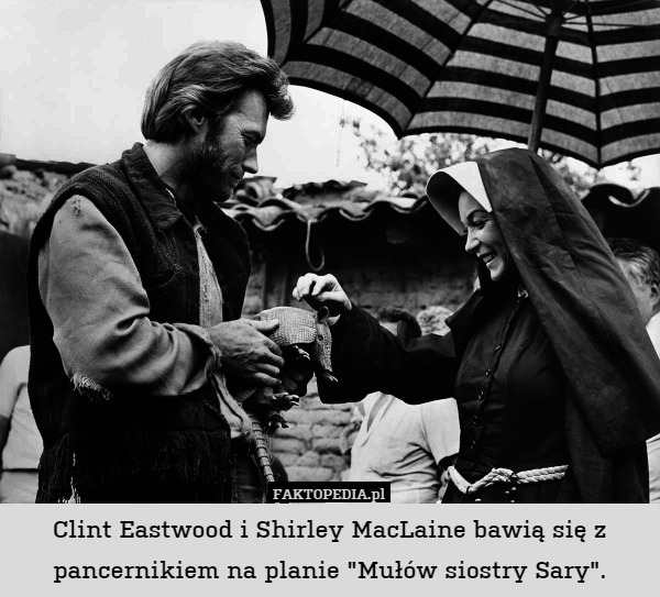 Clint Eastwood i Shirley MacLaine bawią się z pancernikiem na planie "Mułów