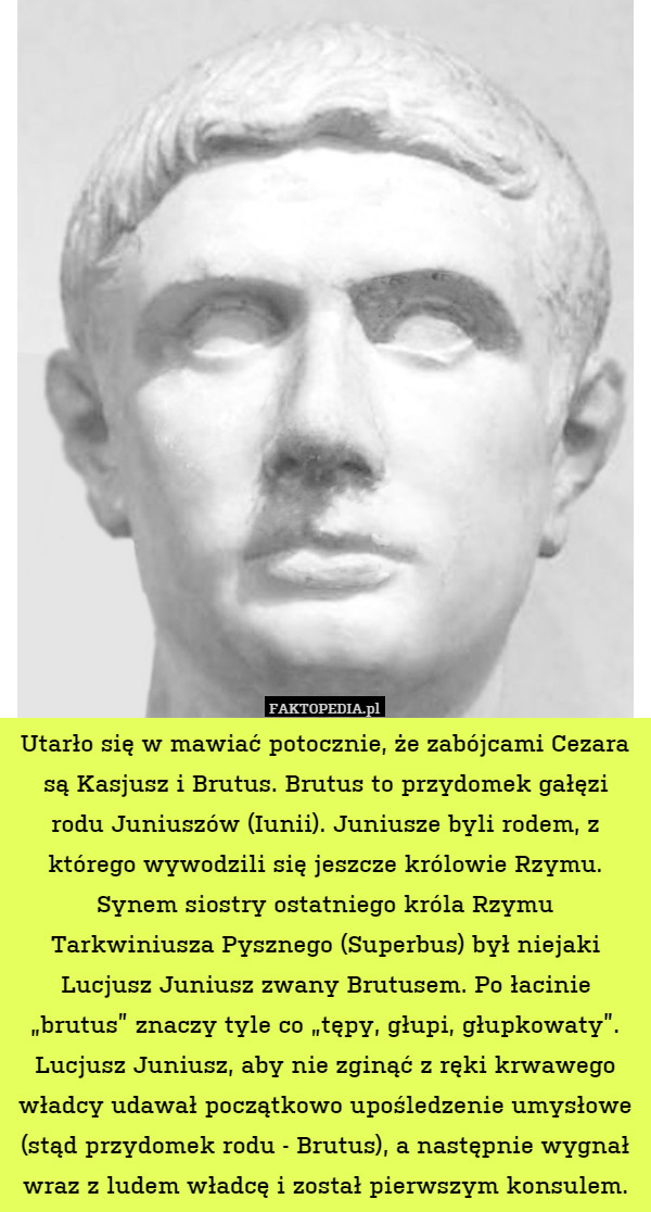 Utarło się w mawiać potocznie, że zabójcami Cezara są Kasjusz i Brutus.