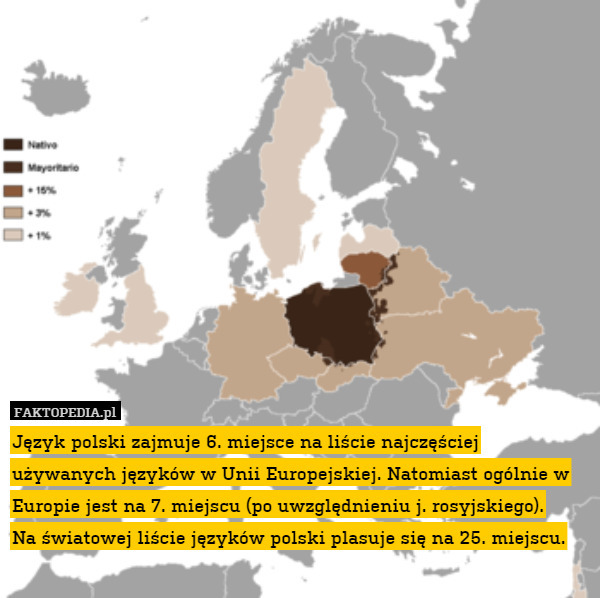 Język polski zajmuje 6 miejsce na liście najczęściej używanych języków w