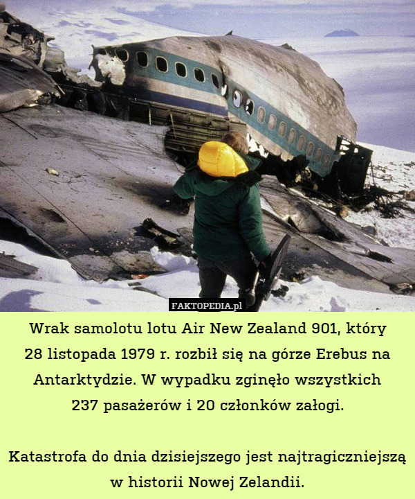 Wrak samolotu lotu Air New Zealand 901, który 28 listopada 1979 r. rozbił