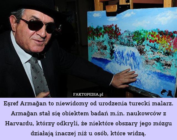 Eşref Armağan to niewidomy od urodzenia turecki malarz. Armağan stał się