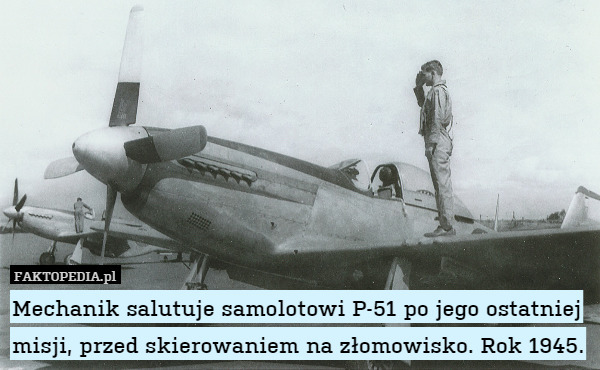 Mechanik salutuje samolotowi P-51 po jego ostatniej misji, przed skierowaniem