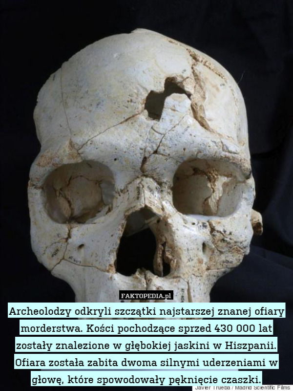Archeolodzy odkryli szczątki najstarszej znanej ofiary morderstwa. Kości