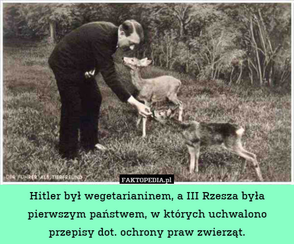 Hitler był wegetarianinem, a III Rzesza była pierwszym państwem, w których