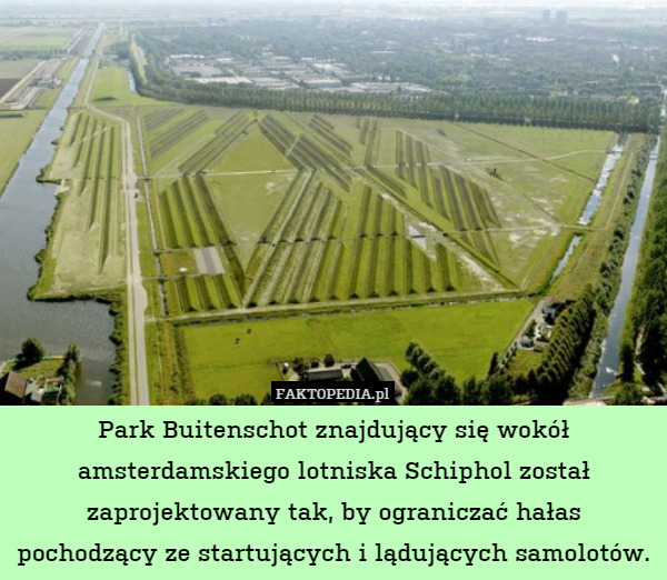 Park Buitenschot znajdujący się wokół amsterdamskiego lotniska Schiphol